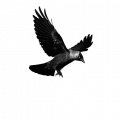 logo778